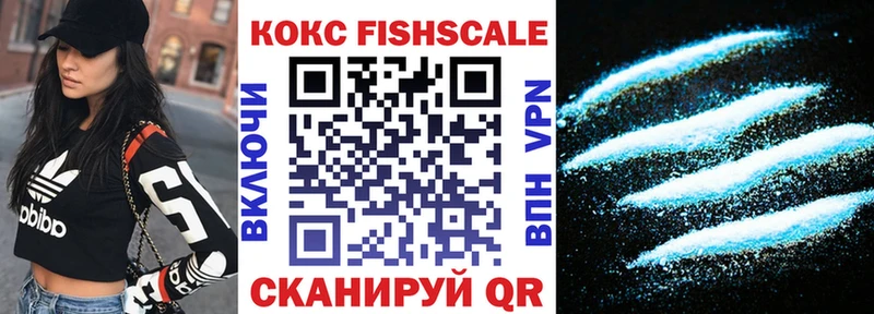 Кокаин Эквадор  закладка  Жиздра 