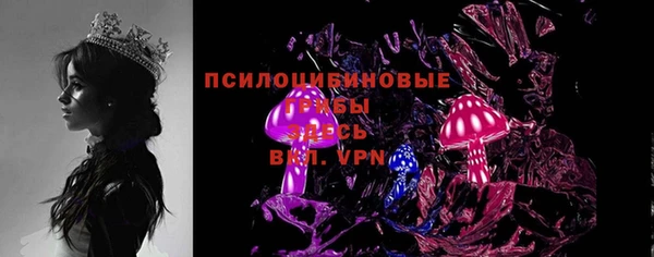 МДПВ Алзамай