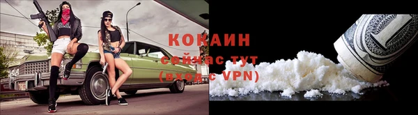 винт Абаза