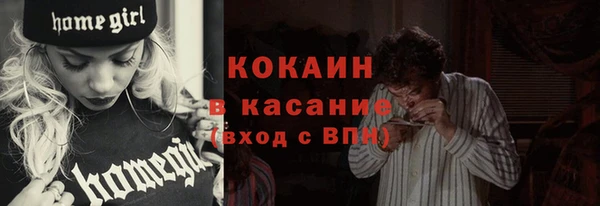 винт Абаза