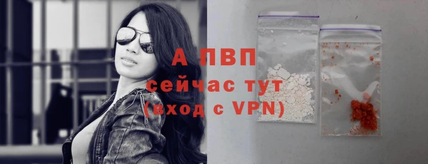 винт Абаза