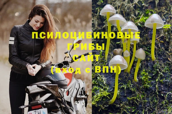 МДПВ Алзамай