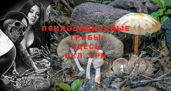 винт Абаза