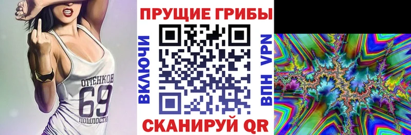 где купить наркоту  Жиздра  mega   Псилоцибиновые грибы Cubensis 