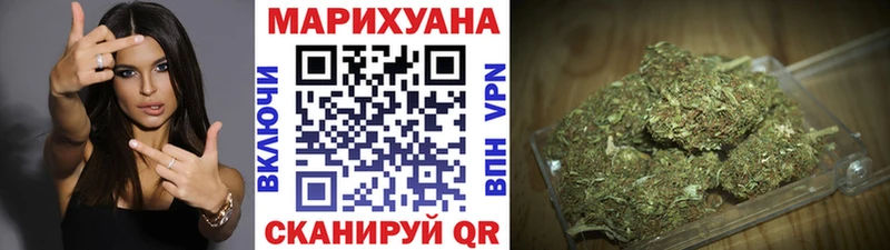 MEGA ССЫЛКА  Жиздра  Бошки марихуана сатива 